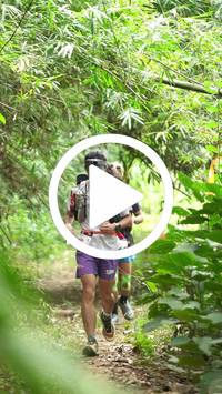 BIB:  <button type="button" onclick="openModal(26823068)" class="btn btn-primary btn-sm float-right" data-toggle="modal" data-target=".modal-high-quality">
                <i class="fa fa-download"></i> Download
                </button>